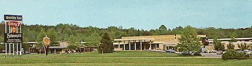 Colony 7 500px.jpg